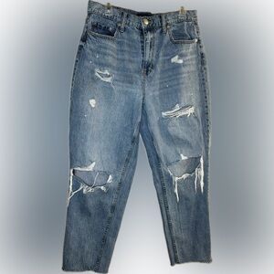 Slim & Thick Curvy Mom Jeans by Aeropostale